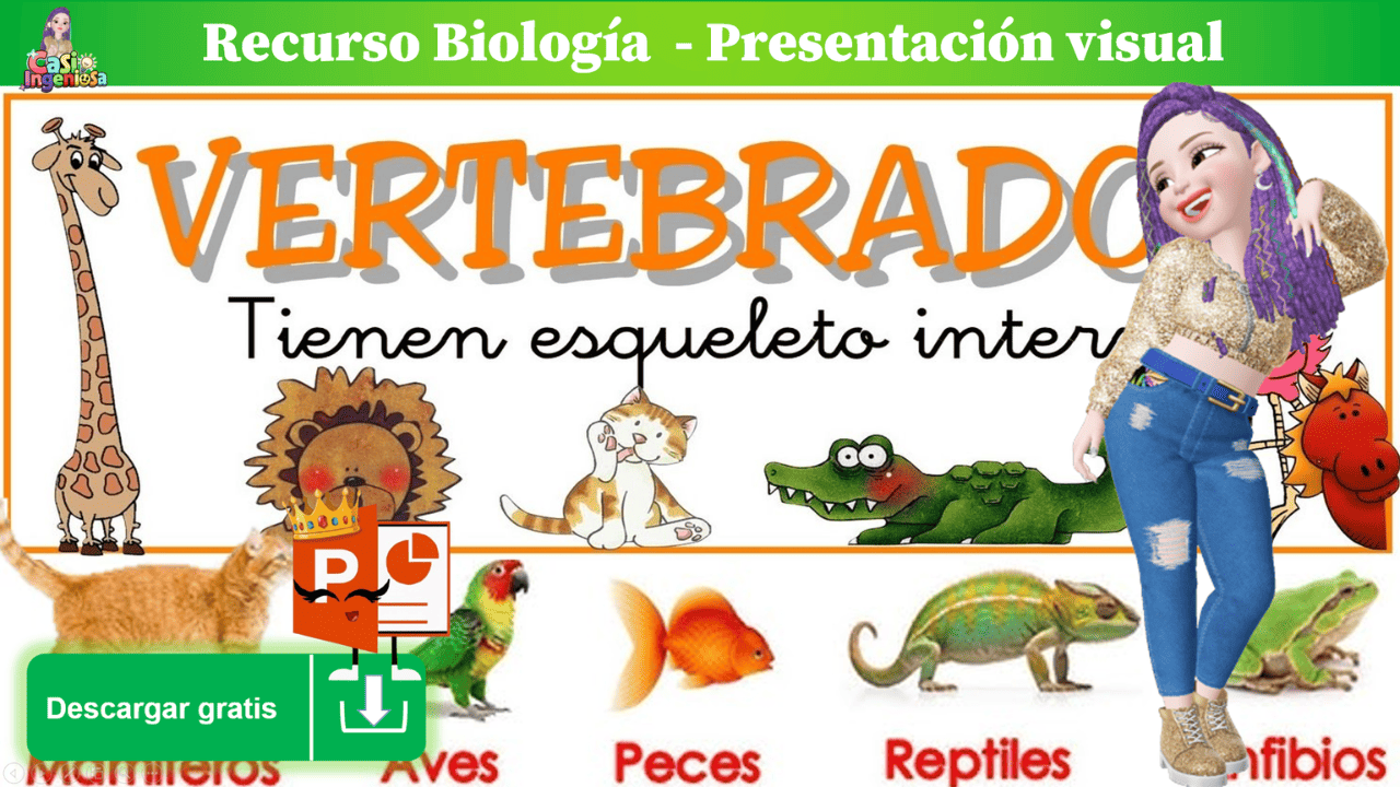 RECURSO | EDUCATIVO | VERTEBRADOS